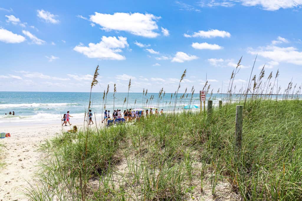 sea oats and beach near hotel